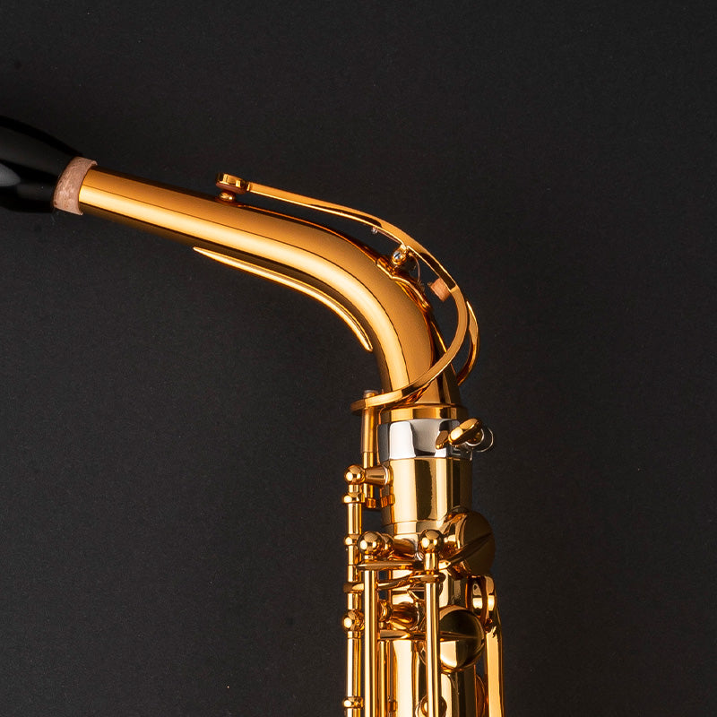 Henri SELMER Paris - Signature alto saxophone