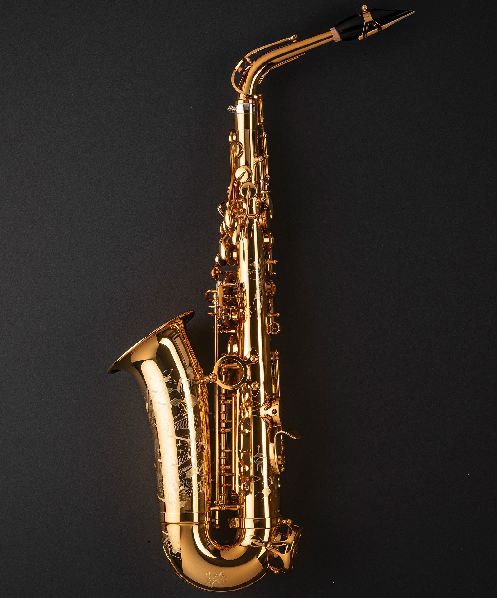 Selmer professional on sale alto saxophone